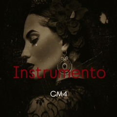 instrumento