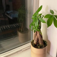 My Plant Friend