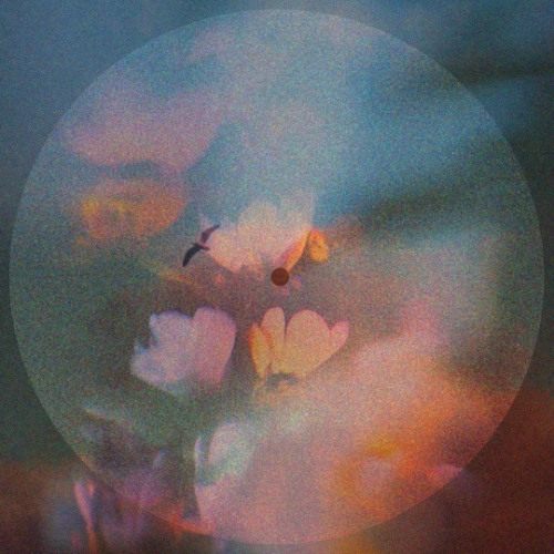 soft lights