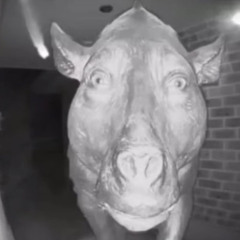 Salvation-(prod. mpk x kookup)