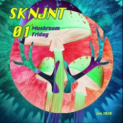 SkinJoint Sessions 01 - Mushroom Friday  Jan2020