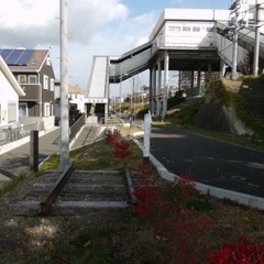 かなしいきもち