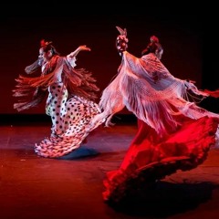 Flamencotanssija (1. otto)