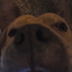 I Wish You Knew (prod.autrioly)