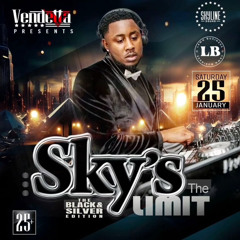 SKYS THE LIMIT |25/01/25 | SLOW JAMS AND DANCEHALL SET @TERRORTONESOUND