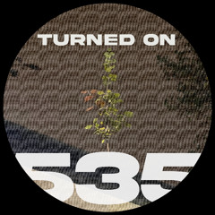 #535: Kiko Navarro, Brain De Palma, Dream Baby, Joe Ashworth, Waiwan