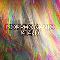 Morphogenic Field