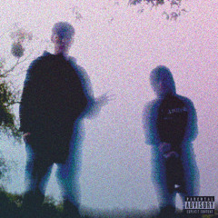 LIŚCIU - ROBIĘ CO MUSZĘ