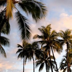 The long way dj wysh