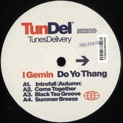 I GEMIN - Do Yo Thang EP [TUNESDWAX004]