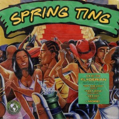 SPRING TING [Mixed By Flygerian]