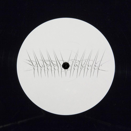 Year of The Snake (Ambi Mix)