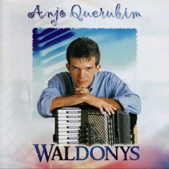 Waldonys