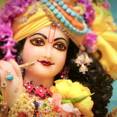 Vasudev - Pre Radhadesh Mellows 1.26.23