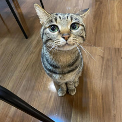 step on me edit slow