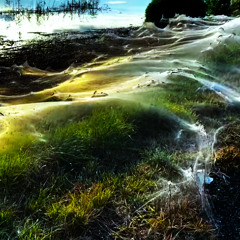 "Gossamer" *SoundCloud Exclusive*