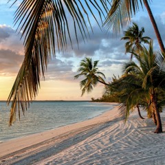 noxpox - Bahama Bop (Good Bye Darknet/for Ross Ulbricht)