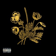 Nena (Prod. Jazzbois)