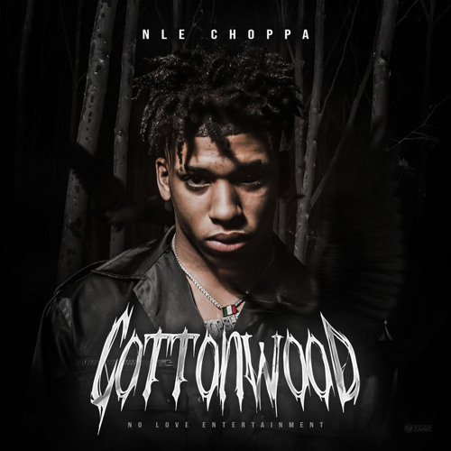 NLE Choppa on Instagram: Cottonwood 2 PreLux Out Now 🔥 This a 7 song FREE  EP for my core fans on @soundcloud in 2023