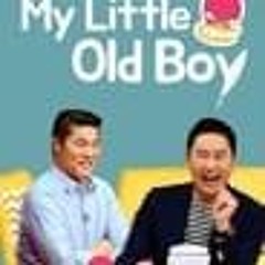 My Little Old Boy - Season 1 Episode 391  FullEpisode -358757