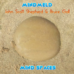 MINDMELD - MIND SPACES