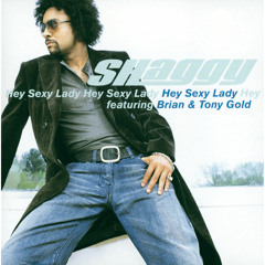 Hey Sexy Lady (feat. Brian & Tony Gold)