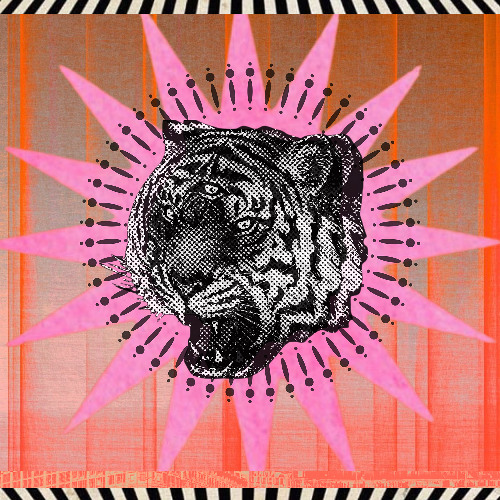 Premiere: Überhaupt & Außerdem - Late Night Talking [Trippin Tigers]