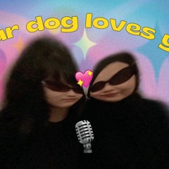 your dog loves you ft. rachel [cover]