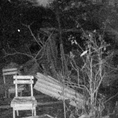 Rain In The Small Hours