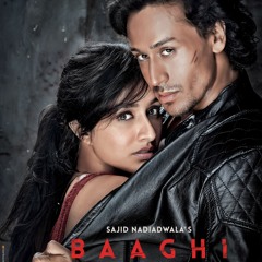 Baaghi: Bollywood Cinema, Kung Fu flick, or Both?!