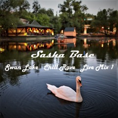 Swan Lake Chill Rave Live Mix 1