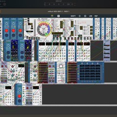 Meandering on a D (miRack)