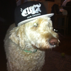 meat - yourstepdad + burlodavirgo  {4head & chillznyc}