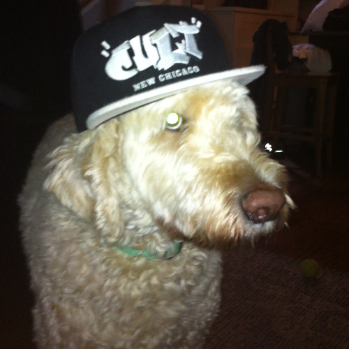 W4T I S4Y - C4Y {c4 & teo10k}