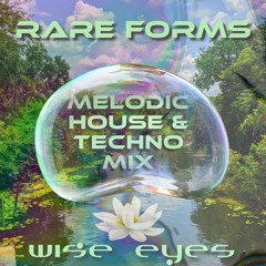Rare Forms: Melodic House and Techno