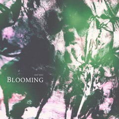 Blooming