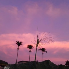 Một chiều mưa thôi nhớ | Chicolus