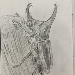 Oddwin Sample Challenge 6 - humanoidism