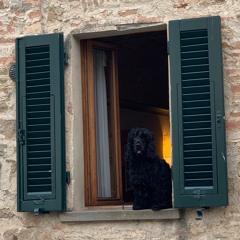 Bossa delivery service