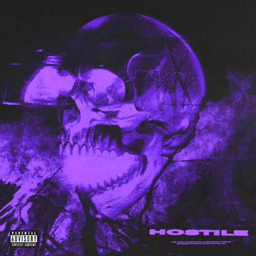 HOSTILE (prod. @vndttax & @killgarrett)