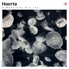 DIM198 - Huerta