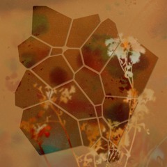 Glass Garden 005 | alys — Conversations with Dandelions