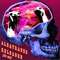 ALBATRAUSS RELOADED (jima remix)