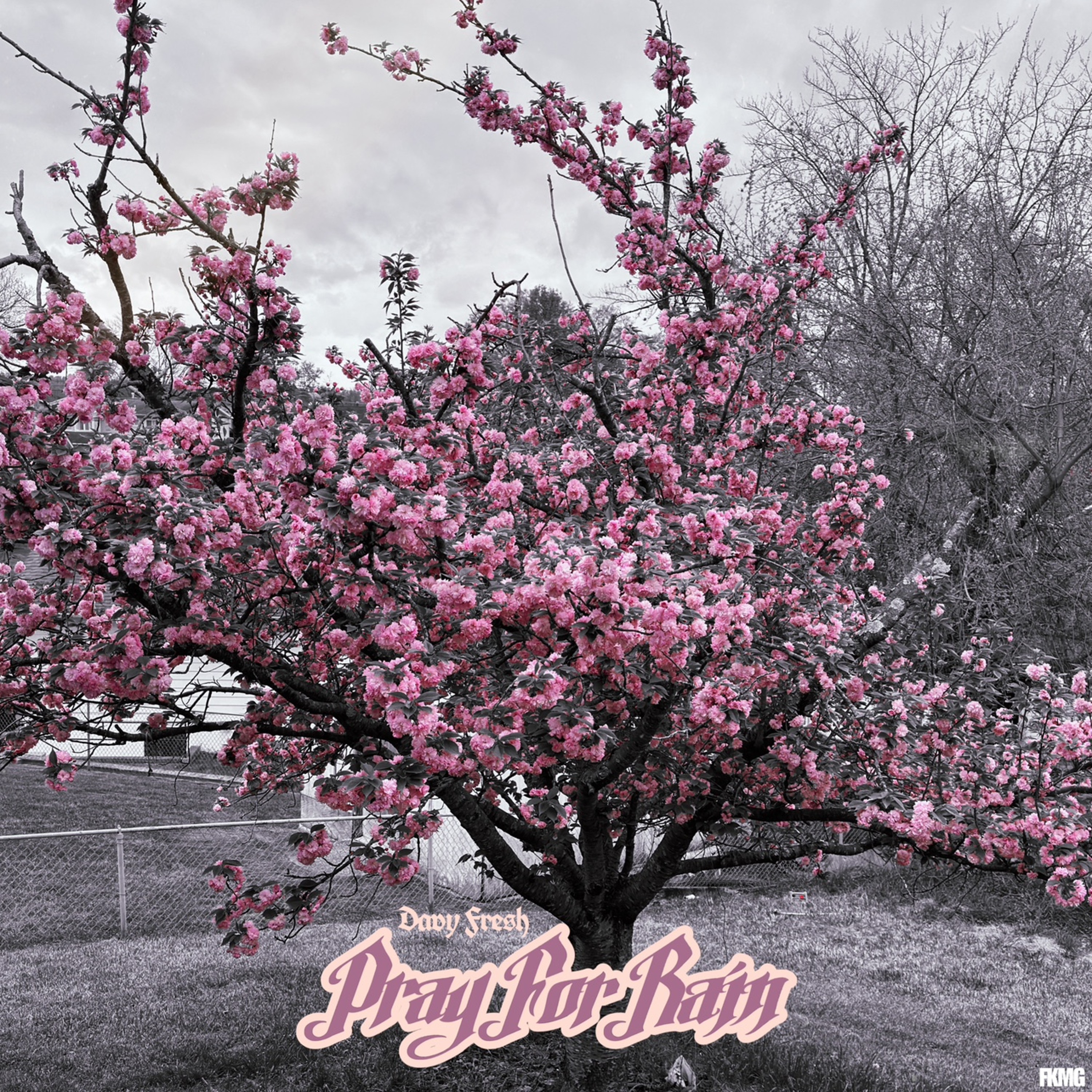 Pray For Rain episode artwork