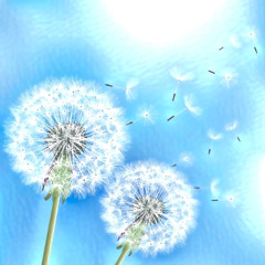 Feel Every Petal U Pluck - prod iv