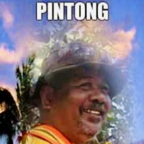 Kot ese nifinifin an tong