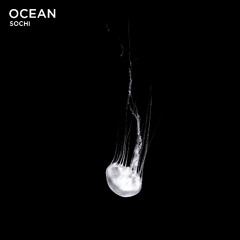 Ocean