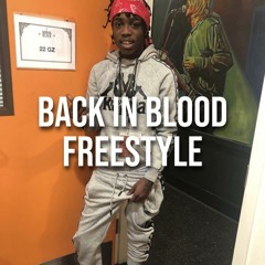 Back In Blood Freestyle (feat. 22gzz)