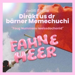 2.01: Fahnemeer