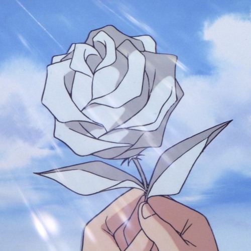 whynerf - Rose